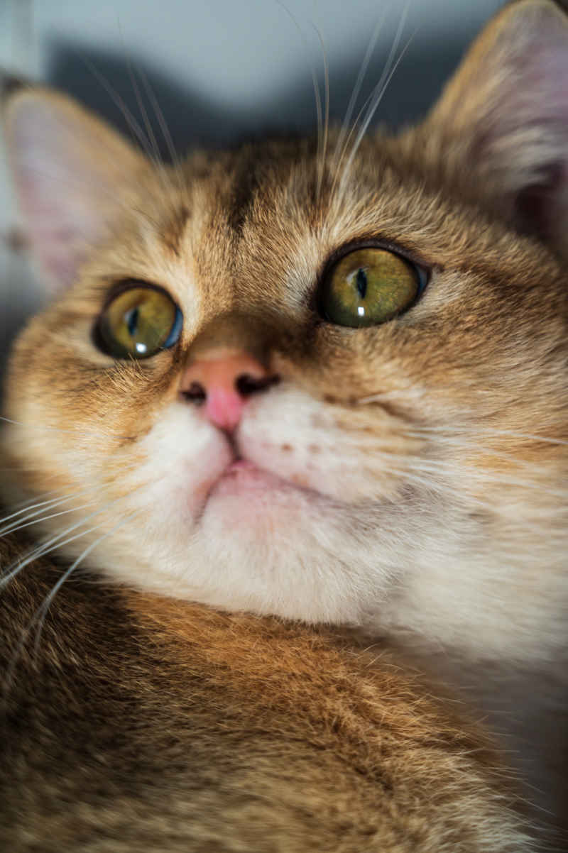 看哪里