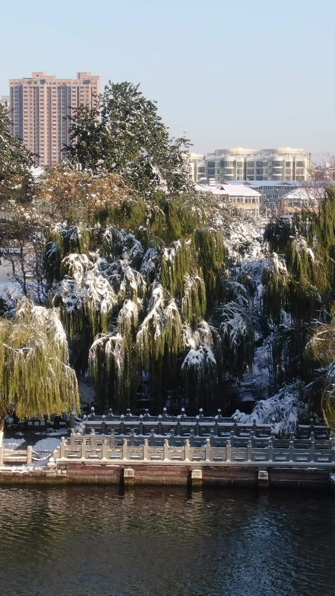 冬日雪景中的城市公园