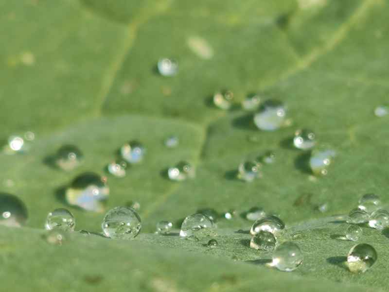 水滴