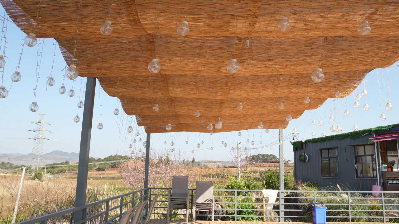 竹屋下的宁静时光