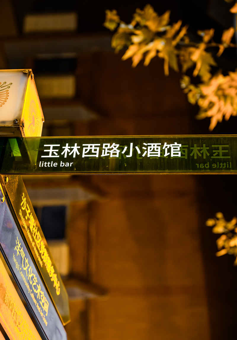 和我在成都的街头走一走-系列 23