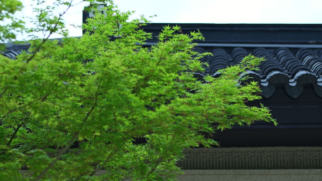 中式建筑空镜头 23