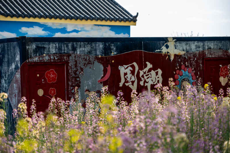 乡村油菜花