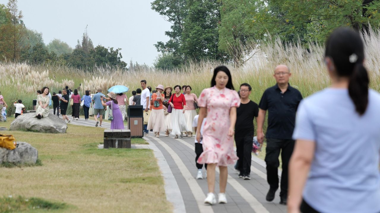 国庆江边芦苇荡 37