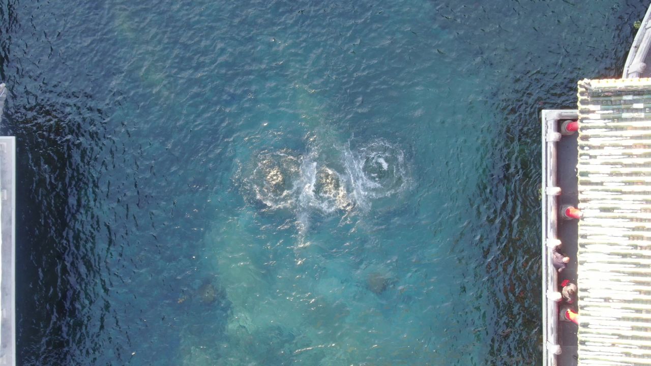 航拍山东济南趵突泉5A景区