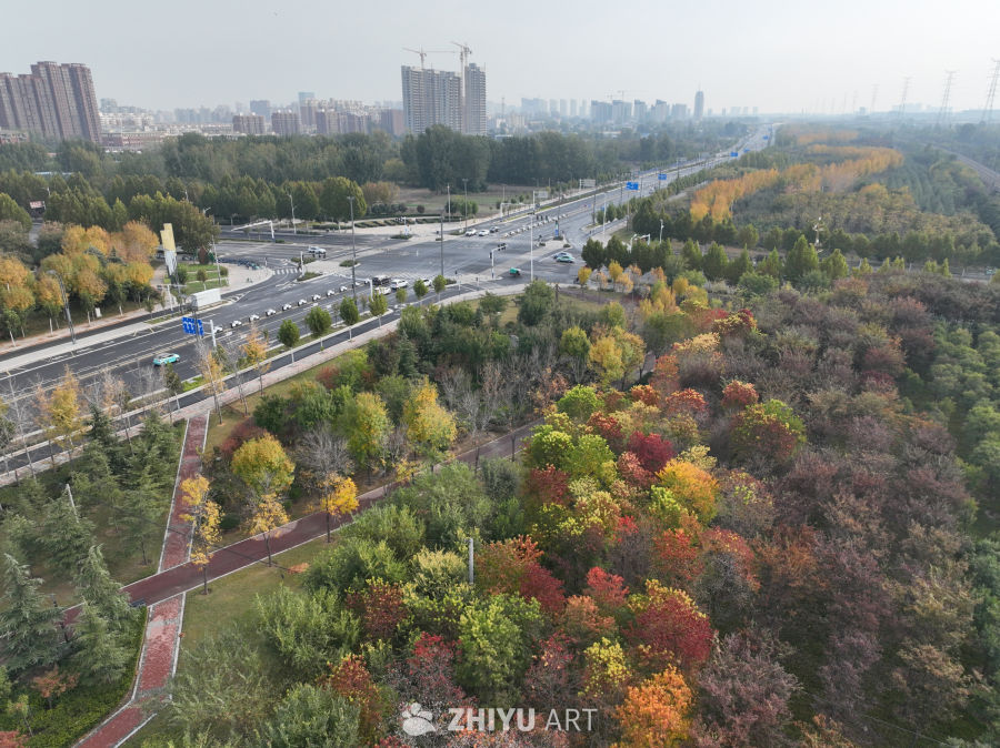 秋日的城市风景