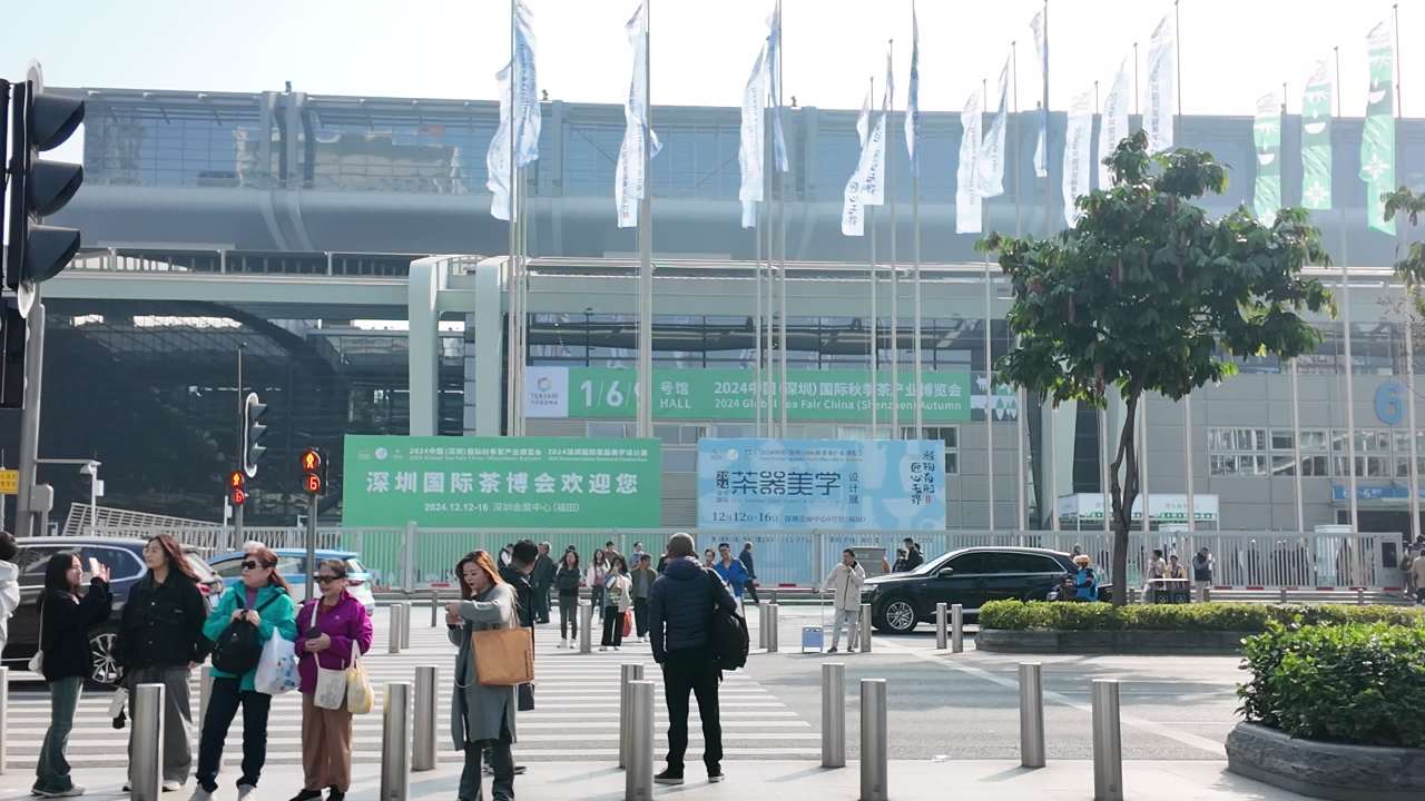 深圳茶博会素材 3