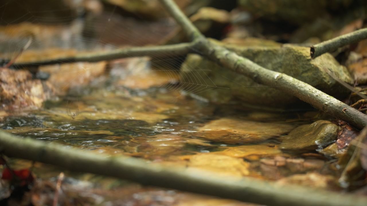 山泉水矿泉水潺潺小溪流水瀑布 40