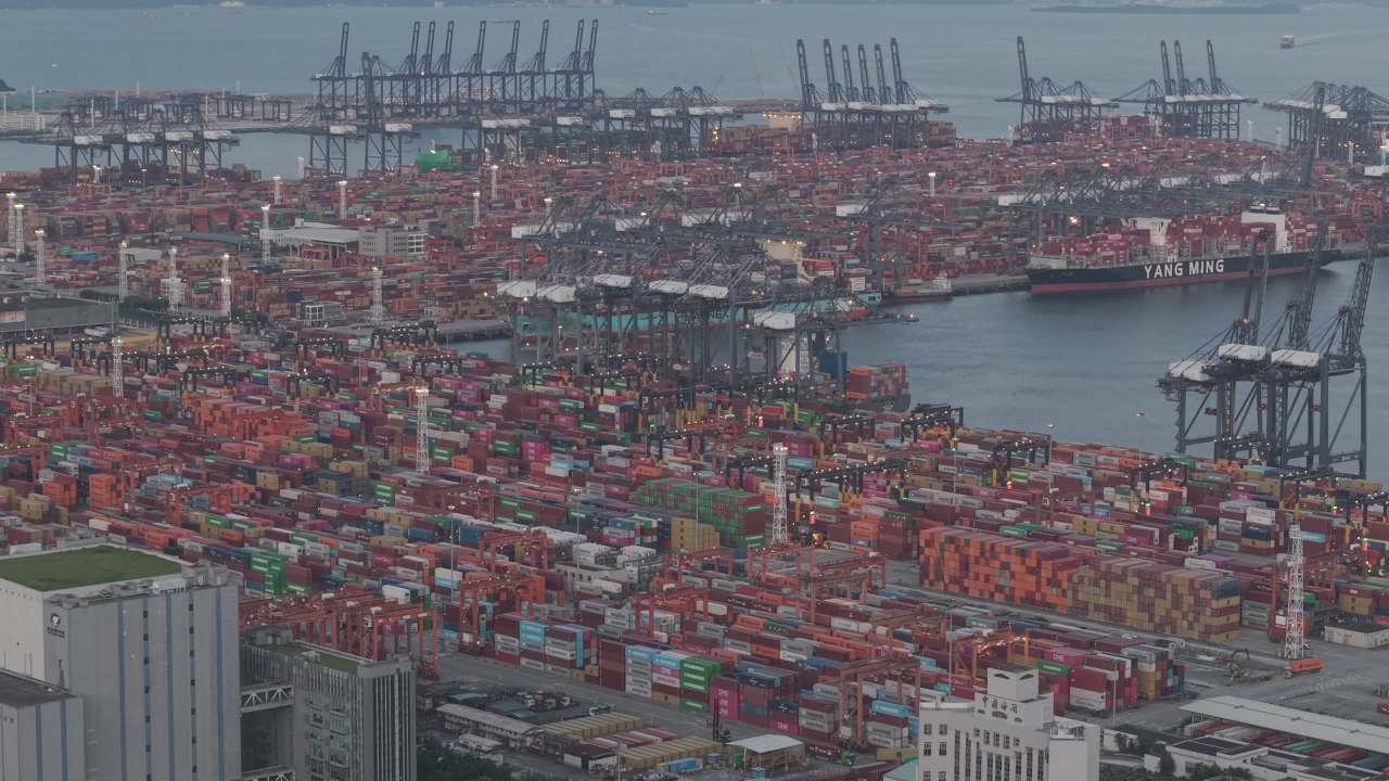 维港 65