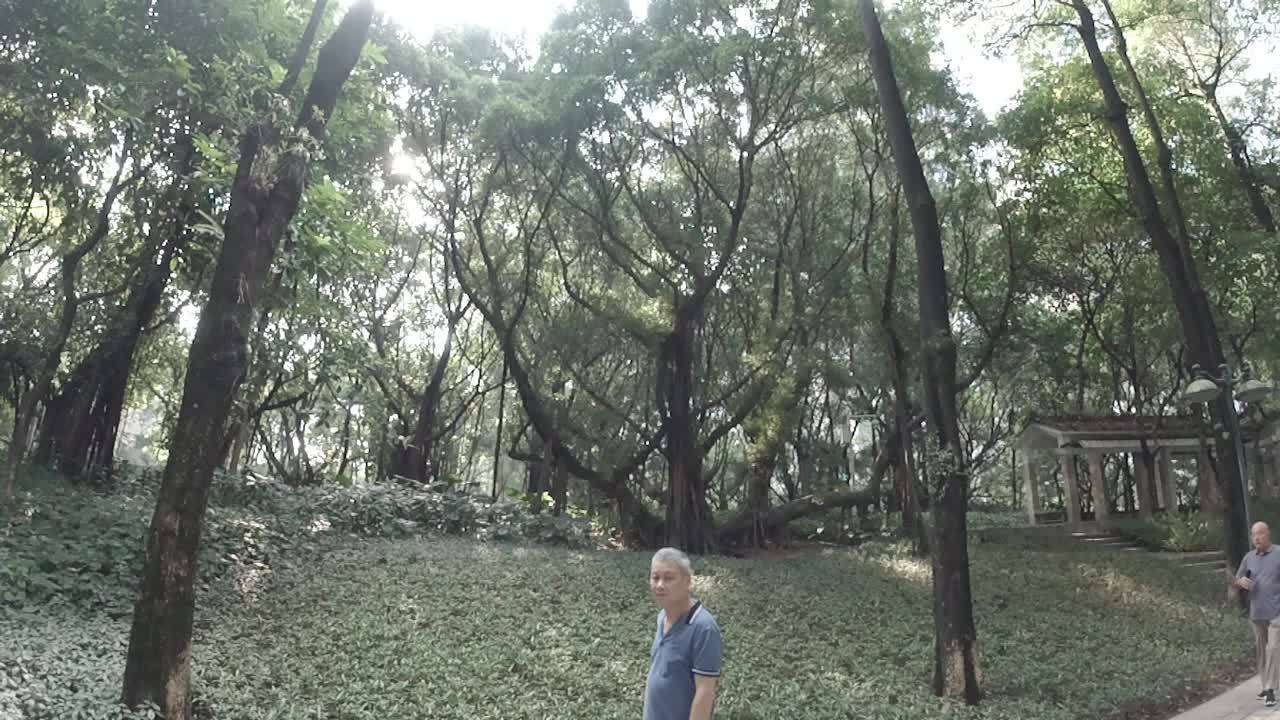 公园 6