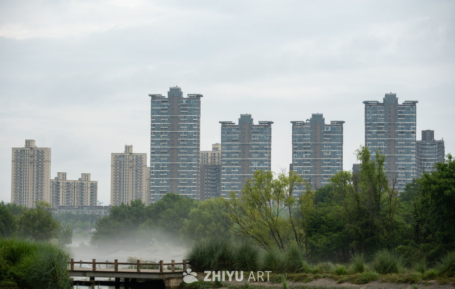 湿地公园 10