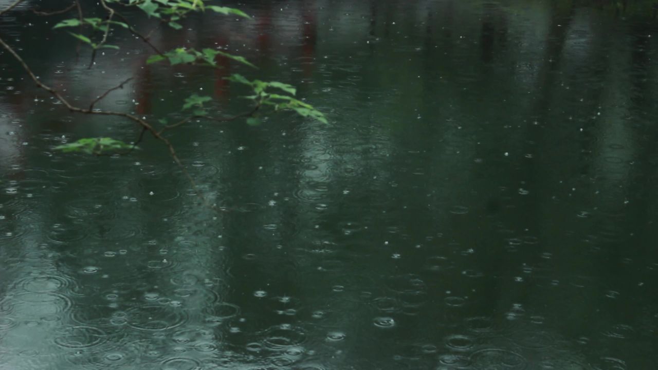 大自然淅淅沥沥的雨声