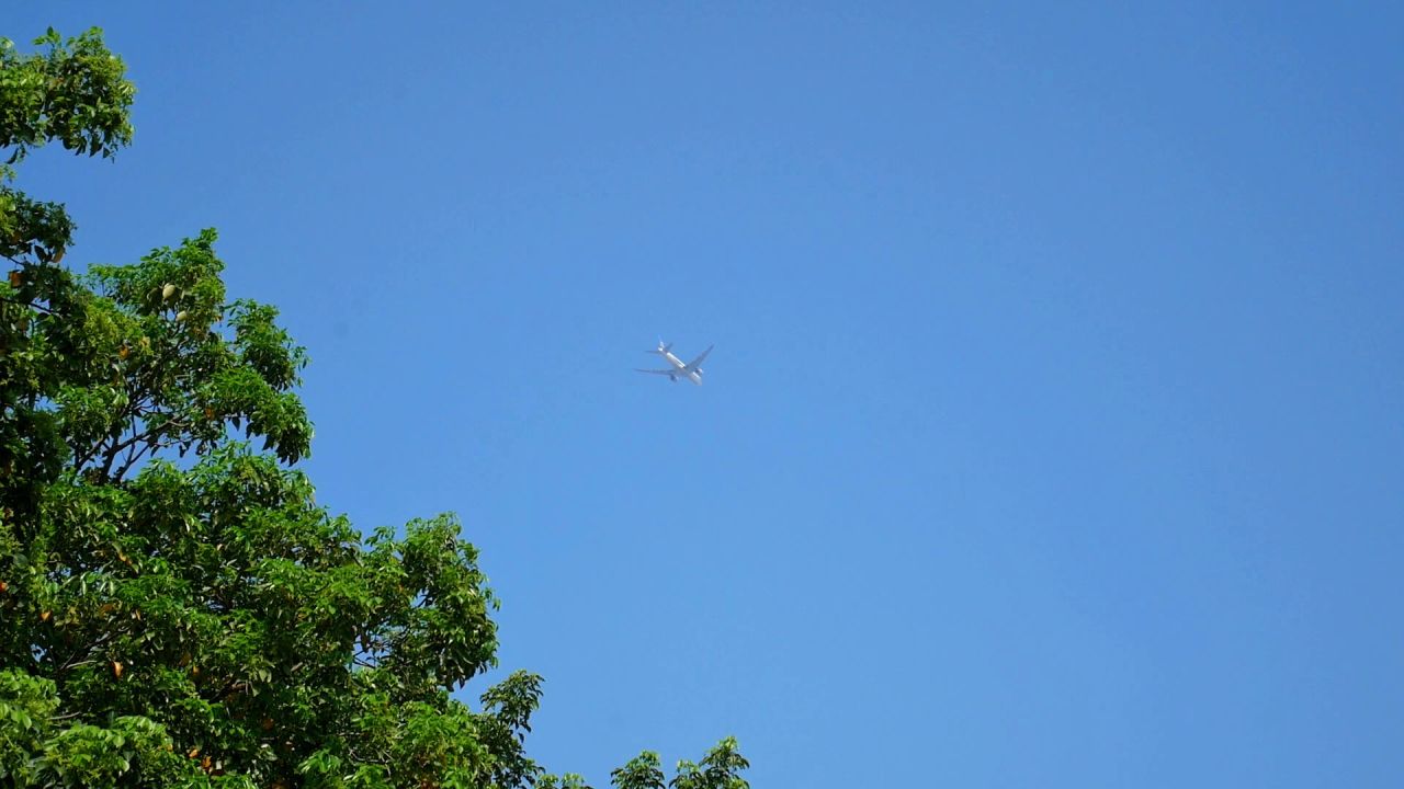 公园上空飞过的客机