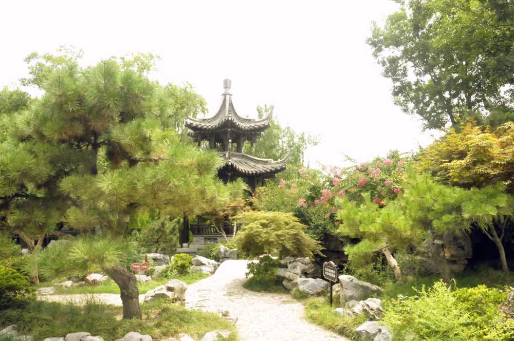 风景