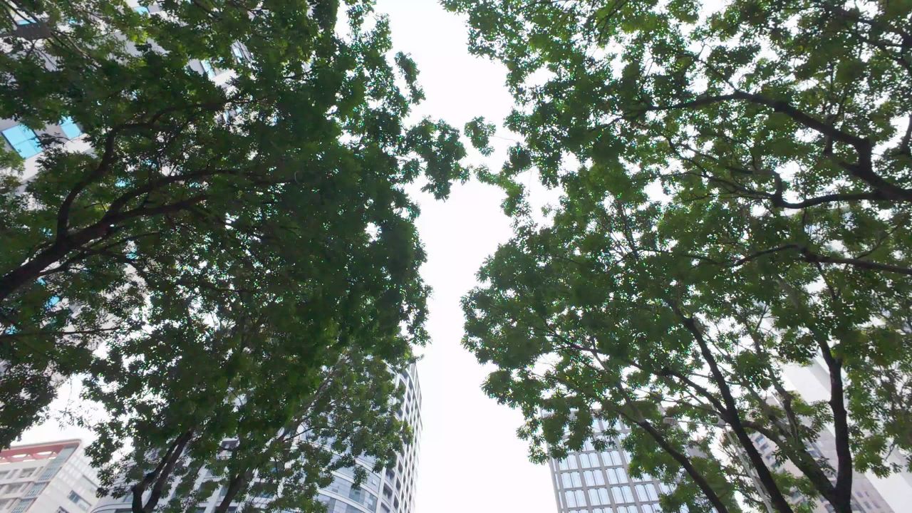 4K城市建筑行车仰拍阴天6