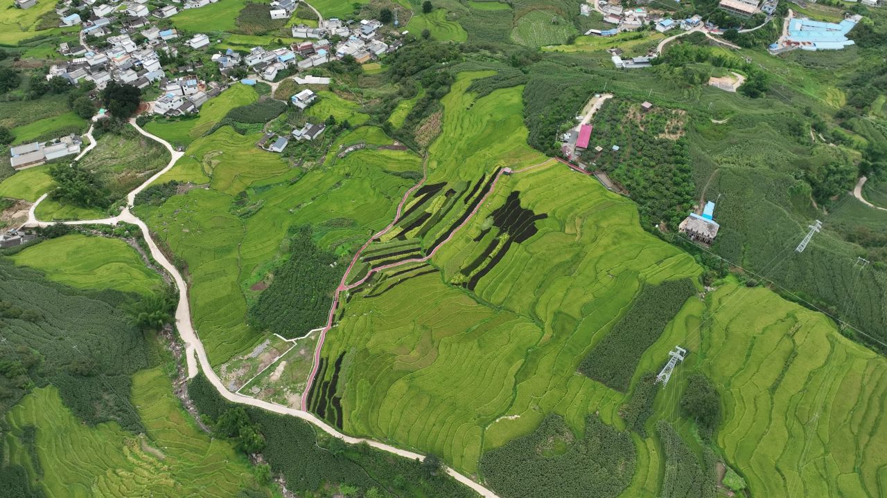 丰收的喜悦 9