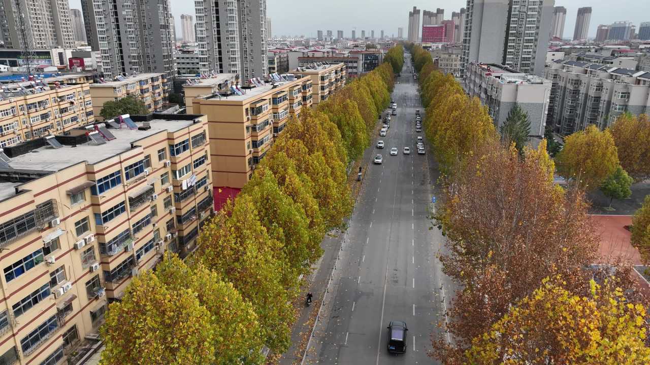 秋日城市街道的繁忙景象