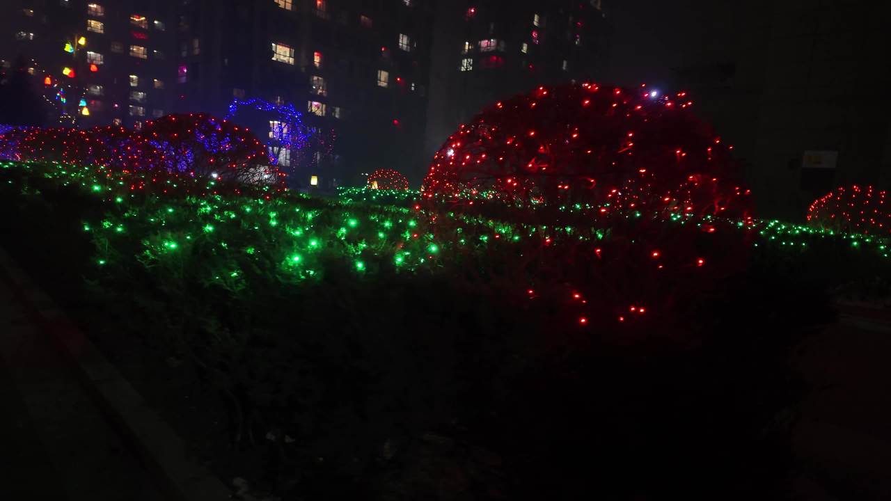 夜景灯光装饰树