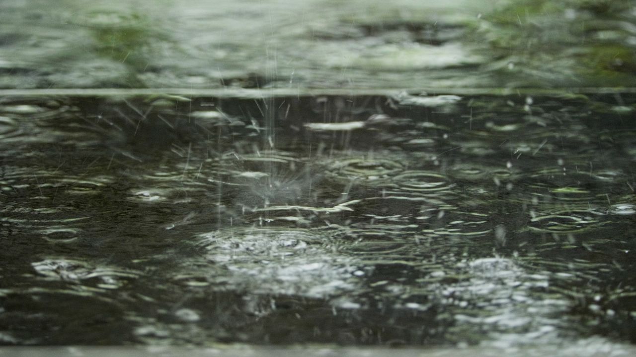 清明下雨阴天4K实拍空镜