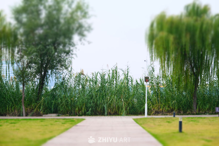 【实拍样片】富士X-T30 II相机实拍照片原片 10