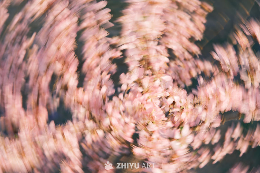 春天 23