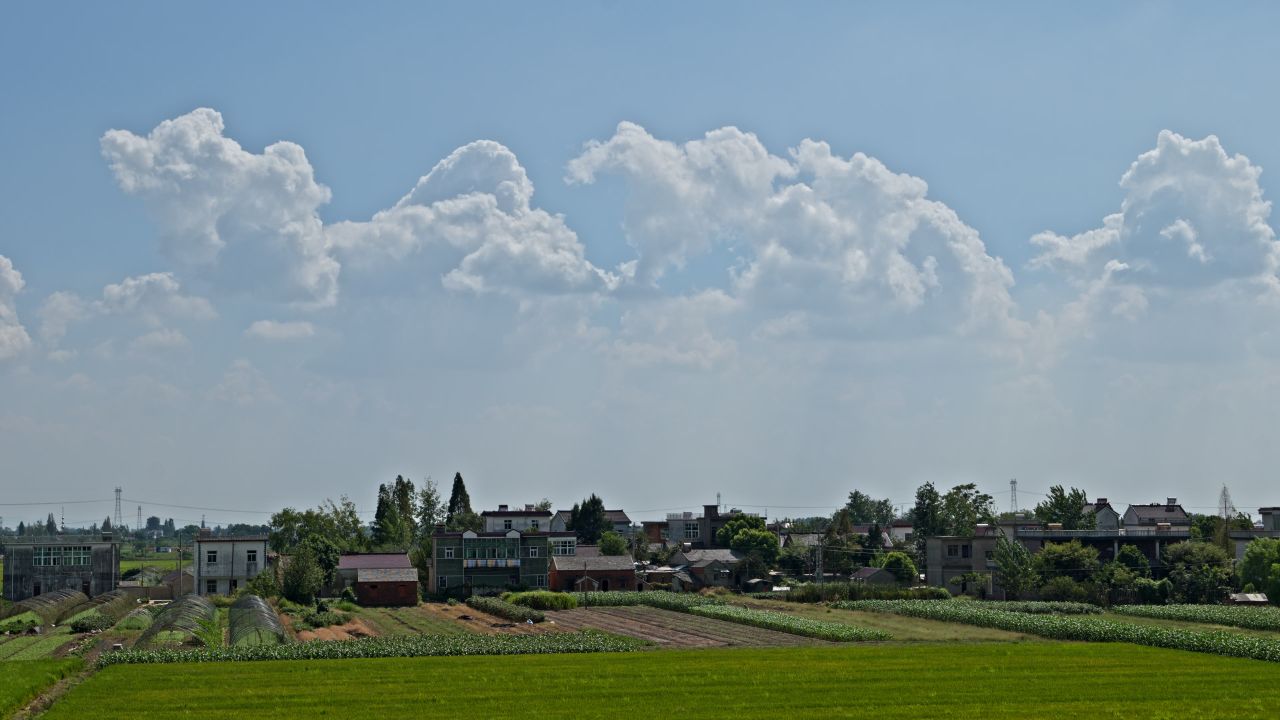 蓝天白云稻田乡村