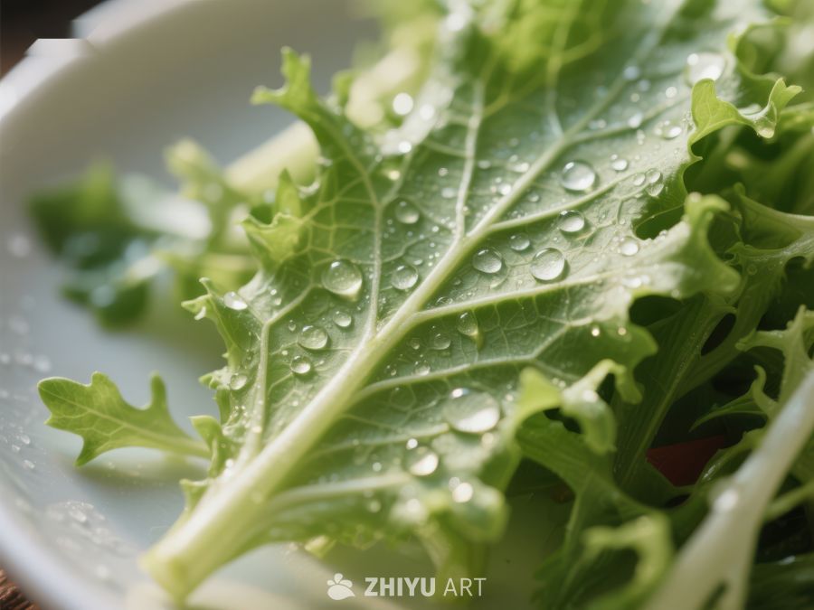 新鲜绿叶蔬菜上的水珠特写 1692