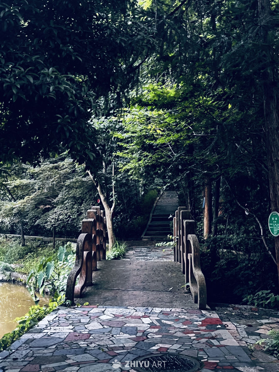森林中的石桥与小径