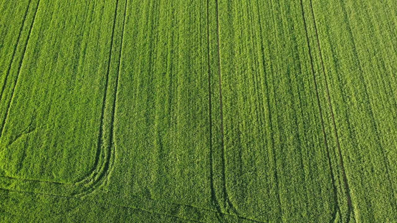 宁静的田野
