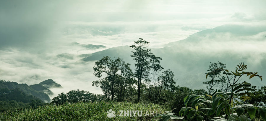 云海山林静谧景