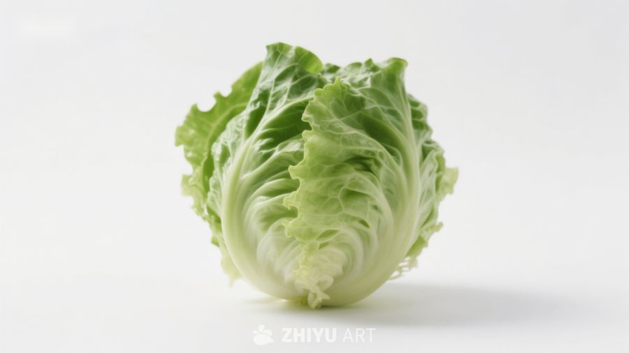 新鲜生菜特写