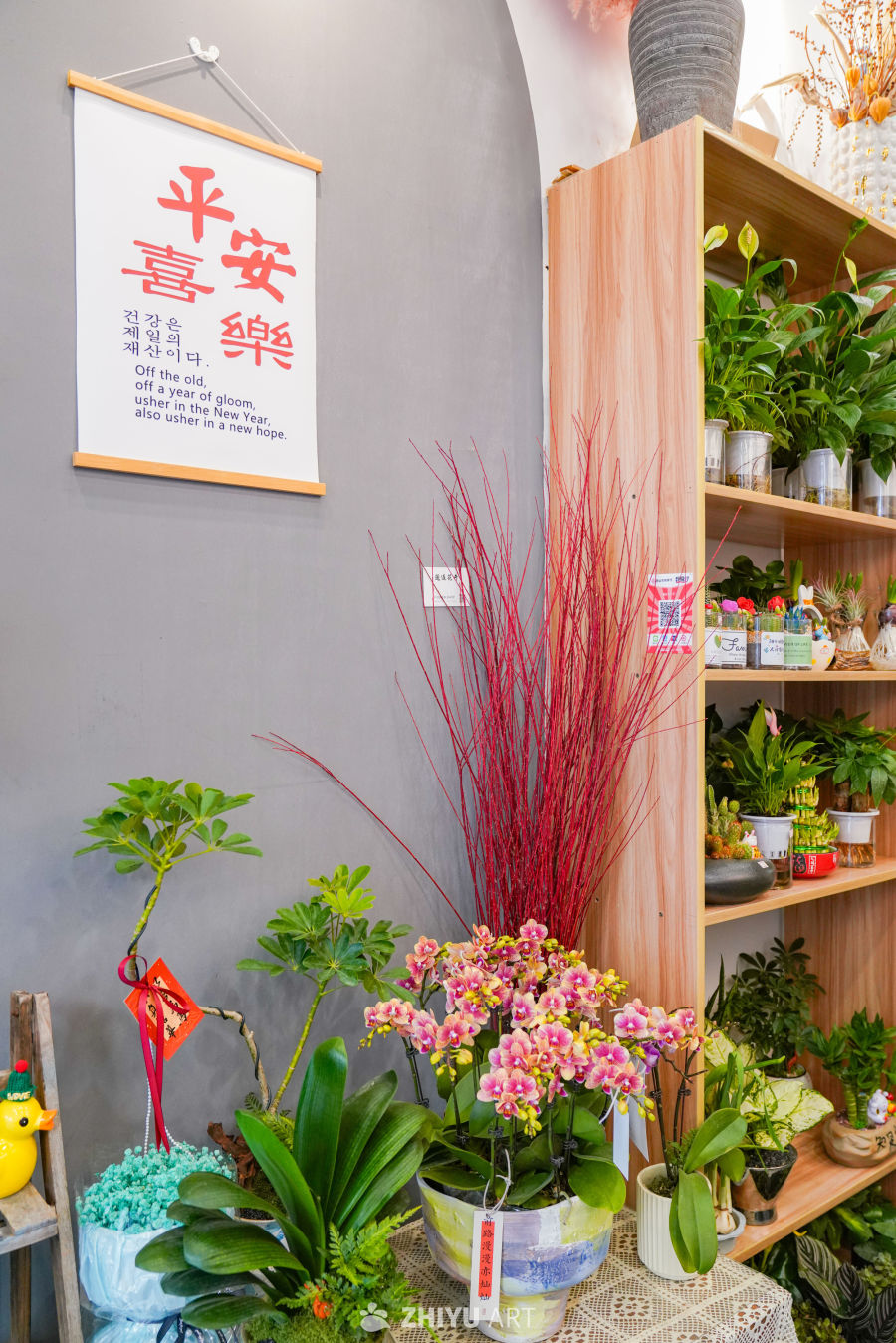 新春花店里的美好 3