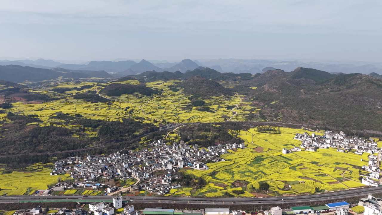 乡村油菜花海