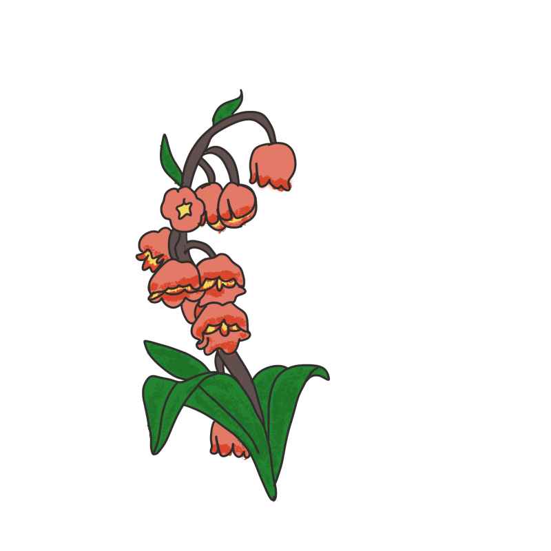 铃兰