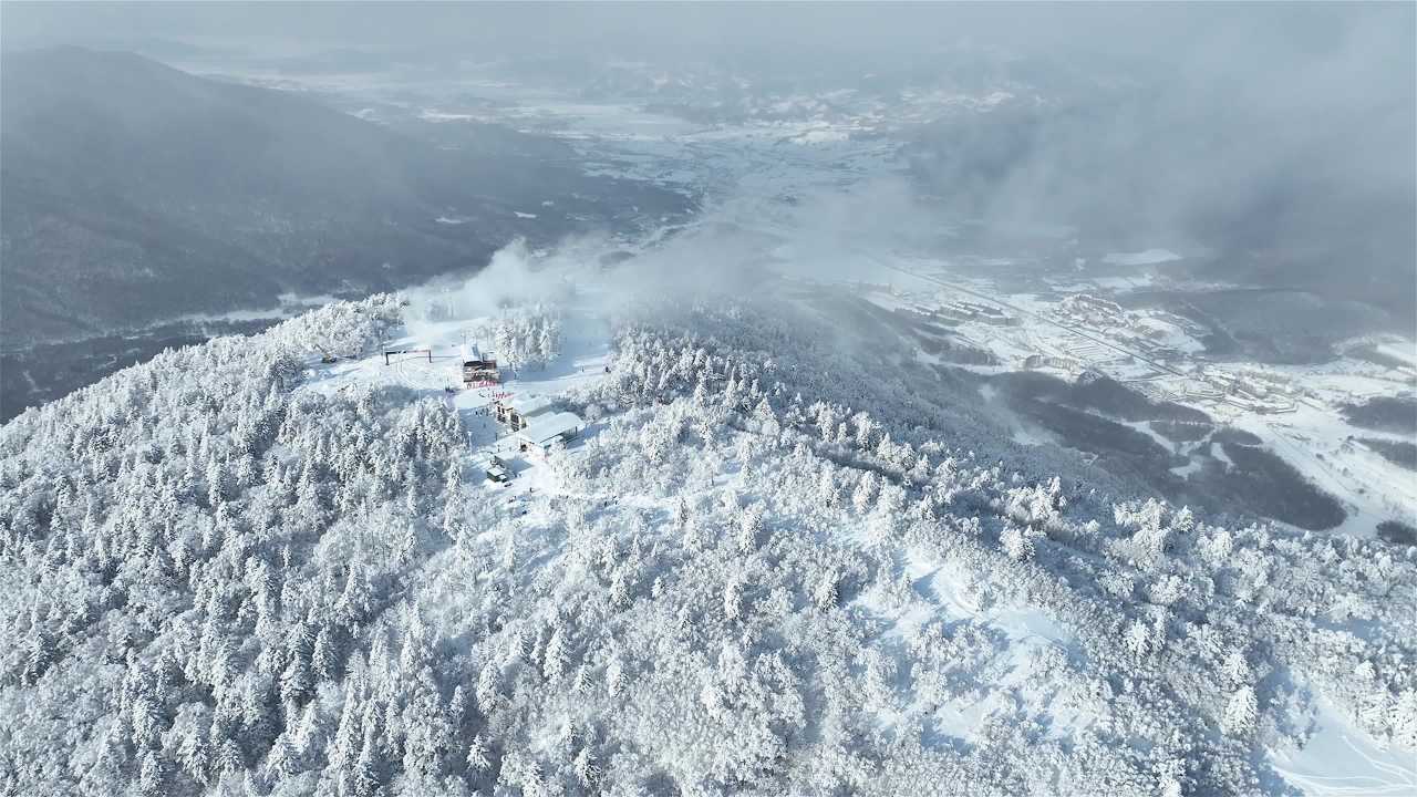高山雾凇