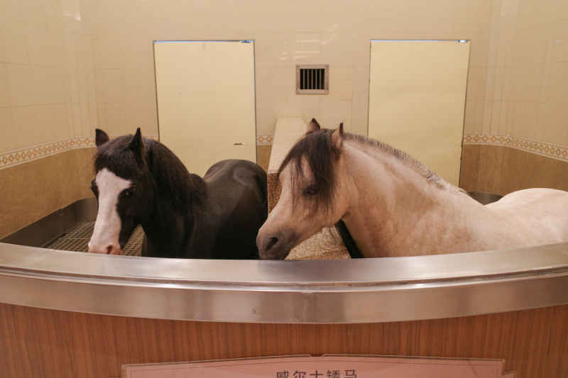 海澜马文化展馆 4