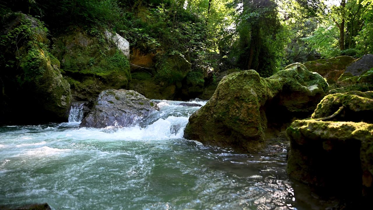 4k流水小溪河流山泉清澈自然水资源山林
