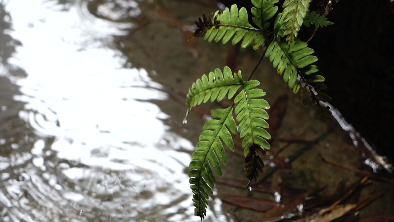 下雨天