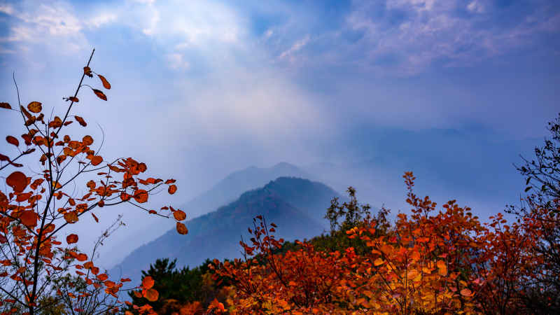 陕西西安鄠邑区圭峰山 2