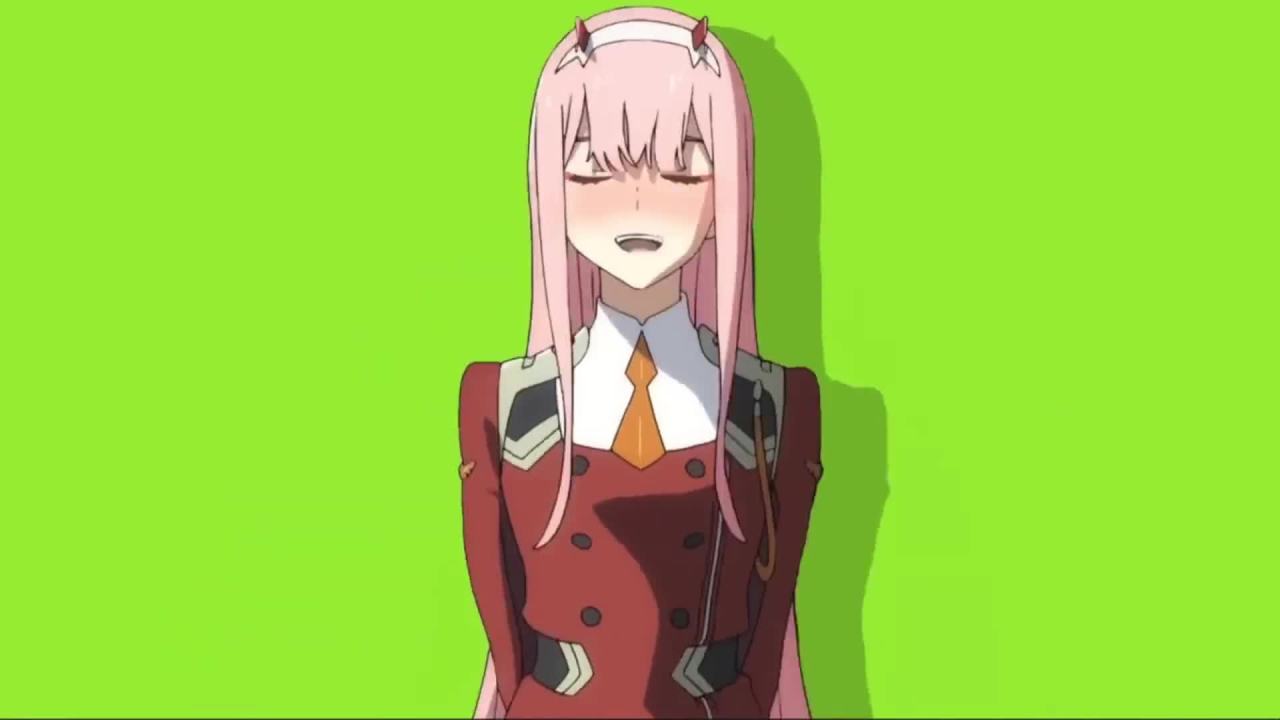 504. 【绿幕素材】zero two跳舞动画素材，高清无水印 312