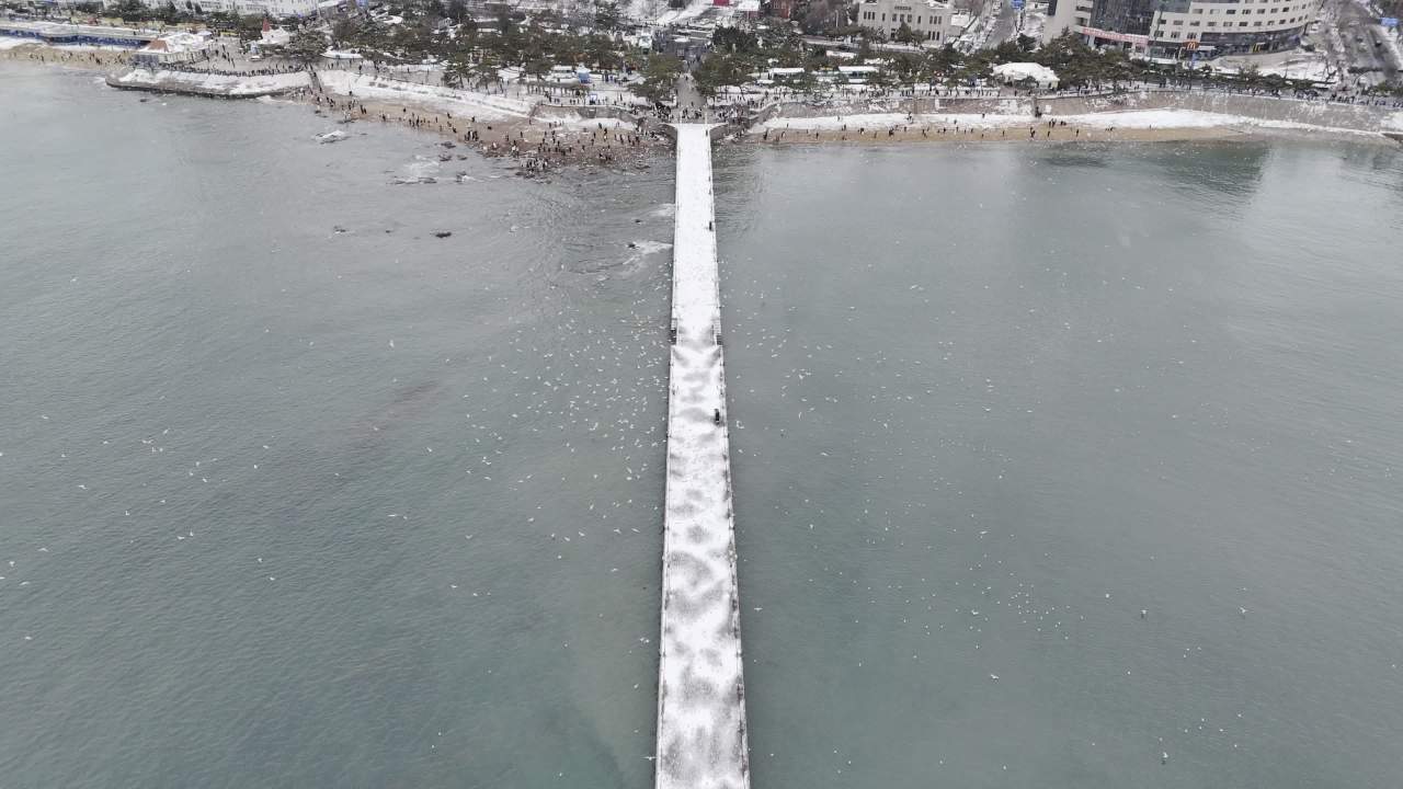 青岛市南老城区栈桥海边雪景航拍 14