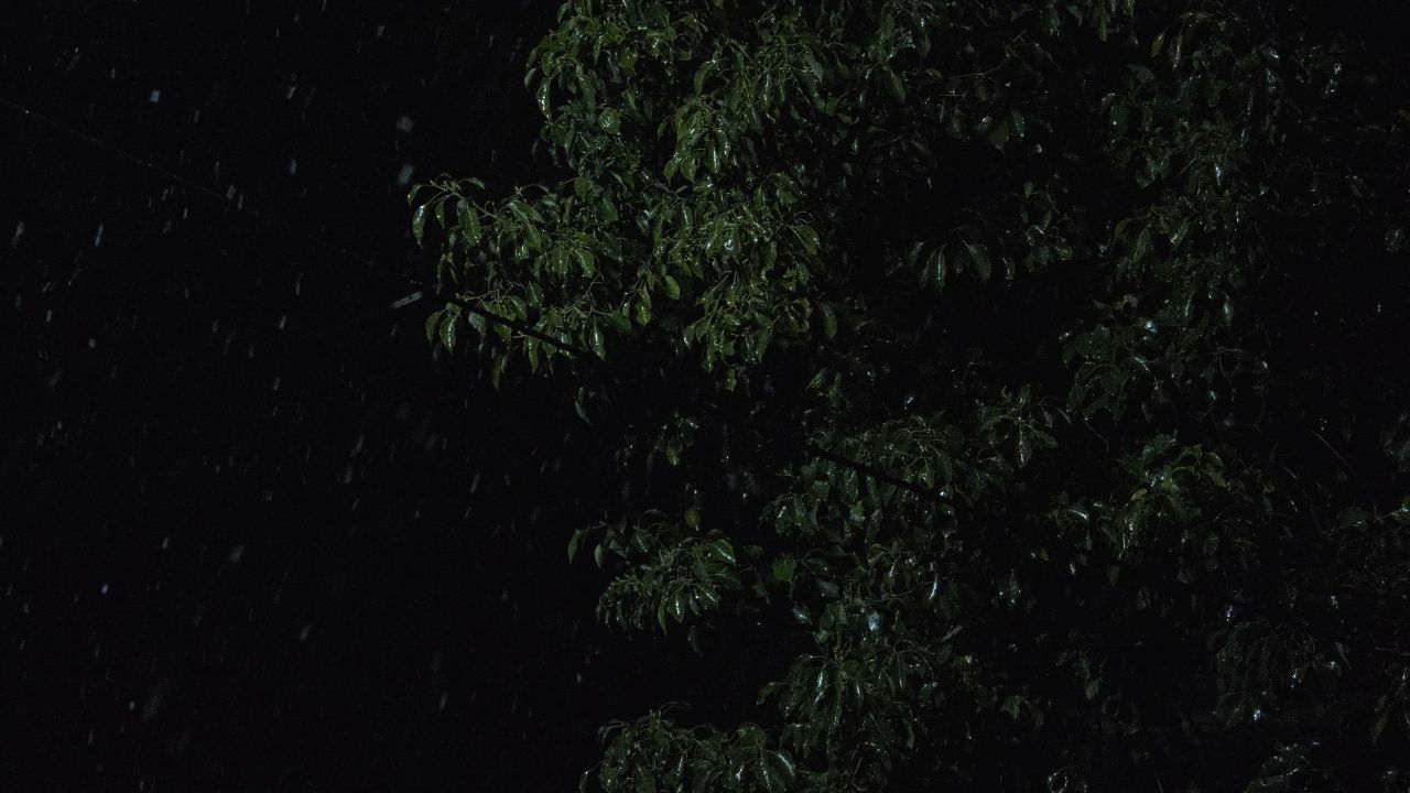 夜晚下雪慢镜头升格4K实拍空镜