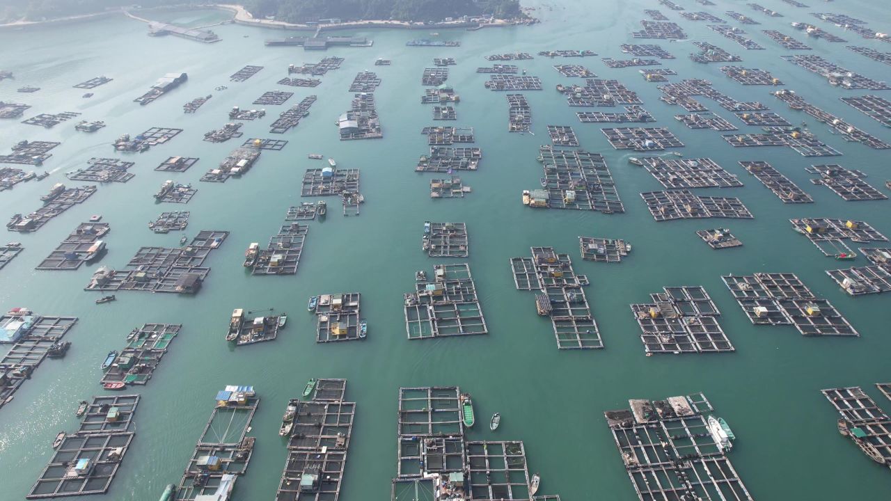 蓝色海洋大海海鲜养殖基地航拍 