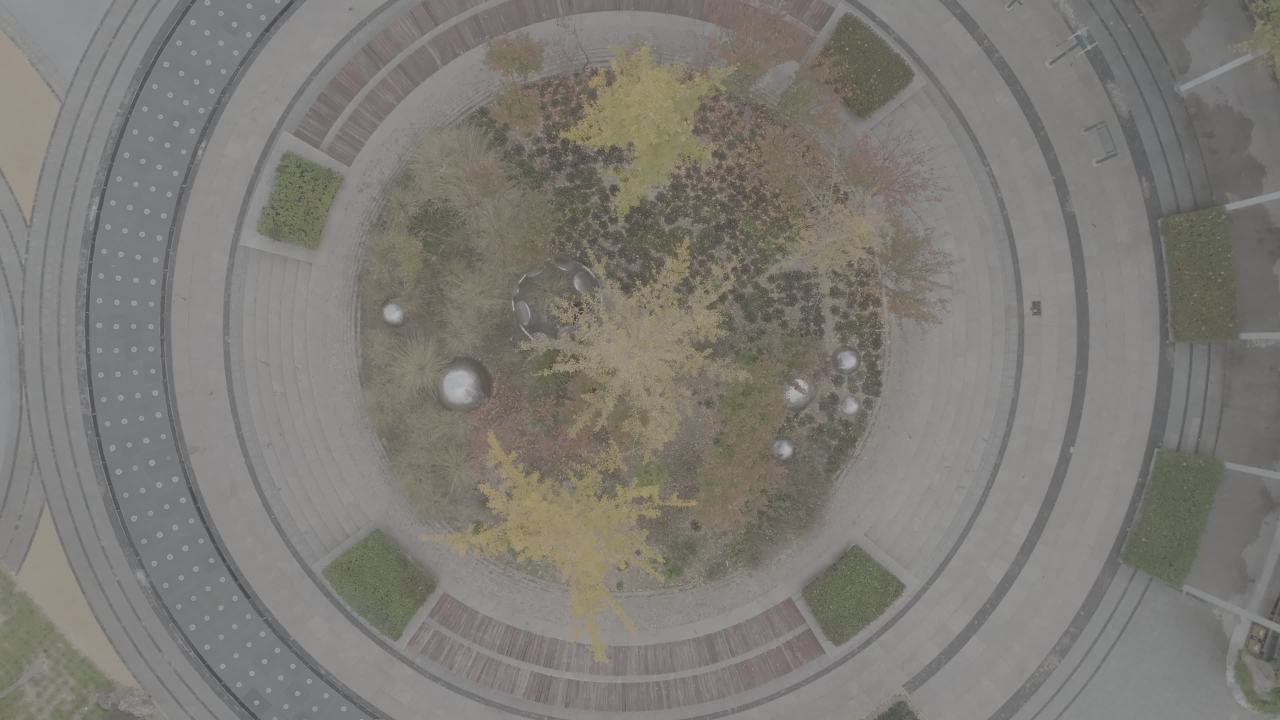 公园中心的宁静时光
