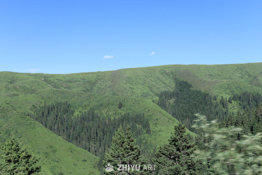 绿意盎然的山间景色