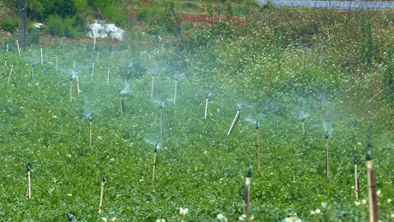 农田自动灌溉