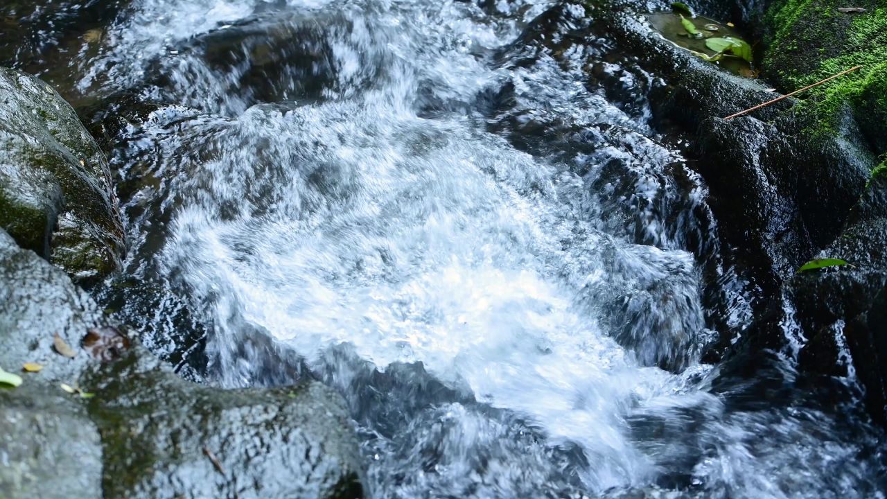 4K溪水河流自然流水大自然