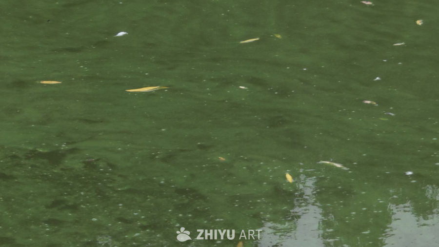 雨后的湖面