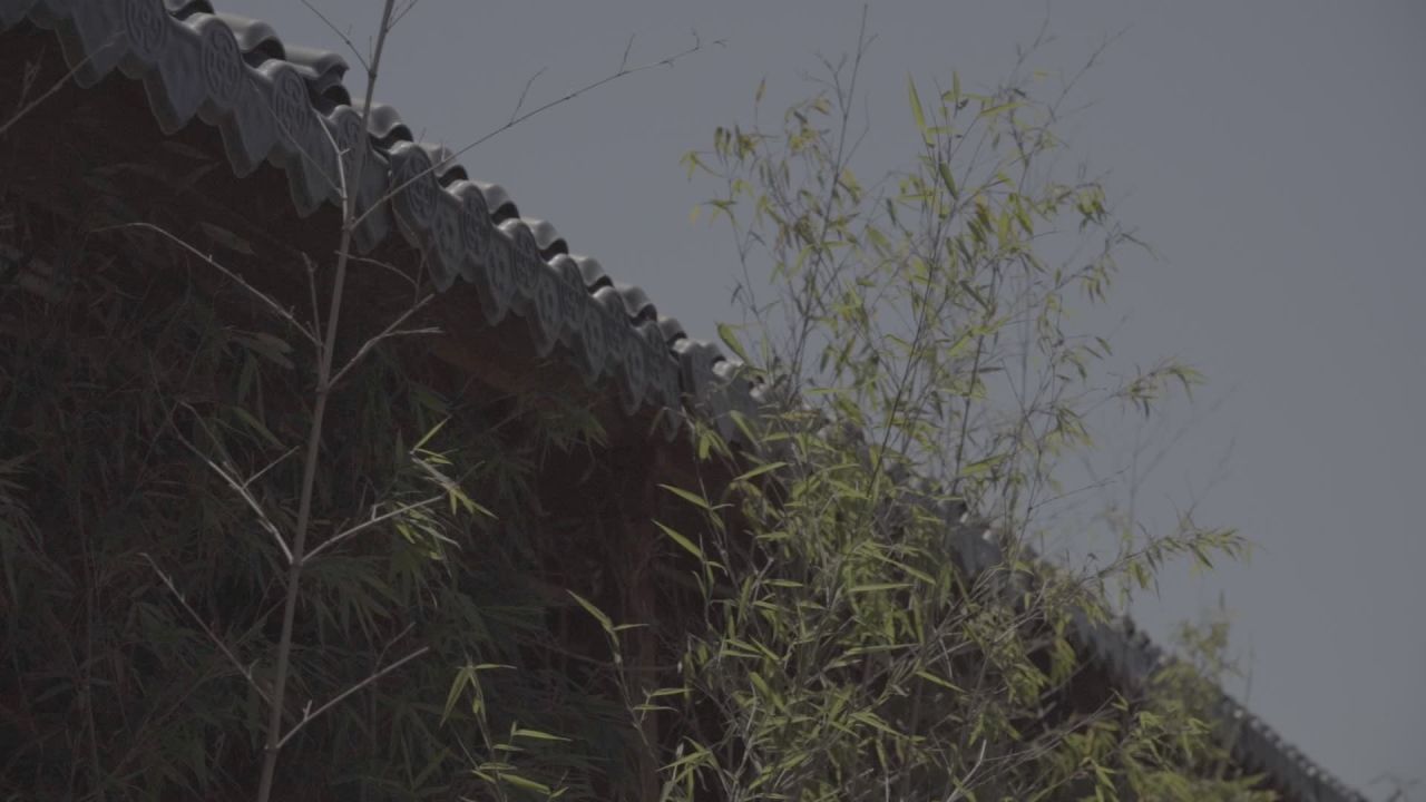 古风竹叶空景