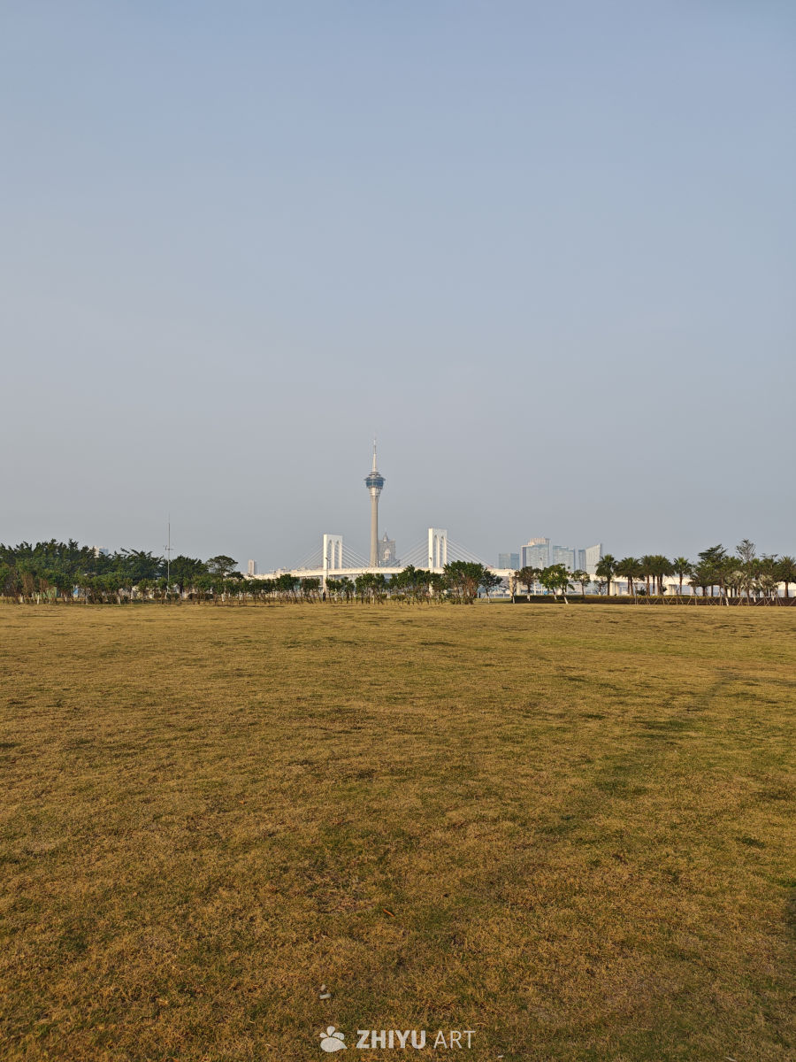 晴天下的城市风光